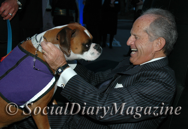 Kima the Service Dog getting loved by Dr. Robert Singer at the La Jolla Playhouse Gala reception